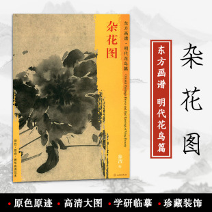 原色 装 东方画谱 原迹 社 徐渭绘 饰 临摹 菁华高清范本 正版 艺术源流 文物出版 学研 明代花鸟篇 杂花图 书籍 中国绘画