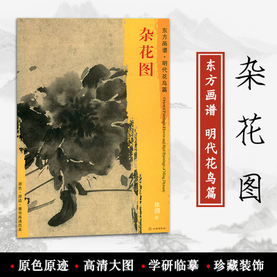 杂花图 东方画谱 明代花鸟篇 徐渭绘 文物出版社 原色 原迹 菁华高清范本 中国绘画的艺术源流 学研 临摹 装饰 正版书籍