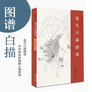 花鸟白描图谱 中国画素材库李国民编绘白描线描花鸟画谱工笔画白描底稿中国画艺术线描写生创作临摹画册