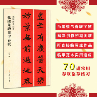 五言七言对联书 书籍 沈菊编 正版 作品集中国北魏 创作临写 毛笔楷书成人学生临摹字帖 社 上海书画出版 春联挥毫 张猛龙碑集字春联