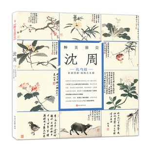 观物之生册 社 沈周 卧游图册 名家画集书籍 书籍 醉美册页 欣赏与临摹 沈周绘 花鸟篇 作品集 花鸟画 四川美术出版 正版 中国明代