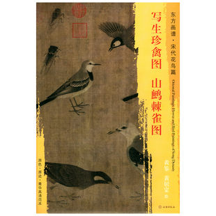 饰 黄荃 社 文物出版 写生珍禽图 花鸟画 装 临摹 艺术源流 黄居寀绘 中国绘画 作品集 书籍 正版 东方画谱宋代花鸟篇 山鹧棘雀图