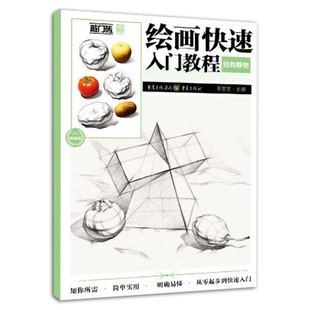 步骤讲解 书籍 重庆出版 正版 从零起步到快速入门 组合范画临摹 素描技法 静物画 社 李家友主编 绘画快速入门教程结构静物