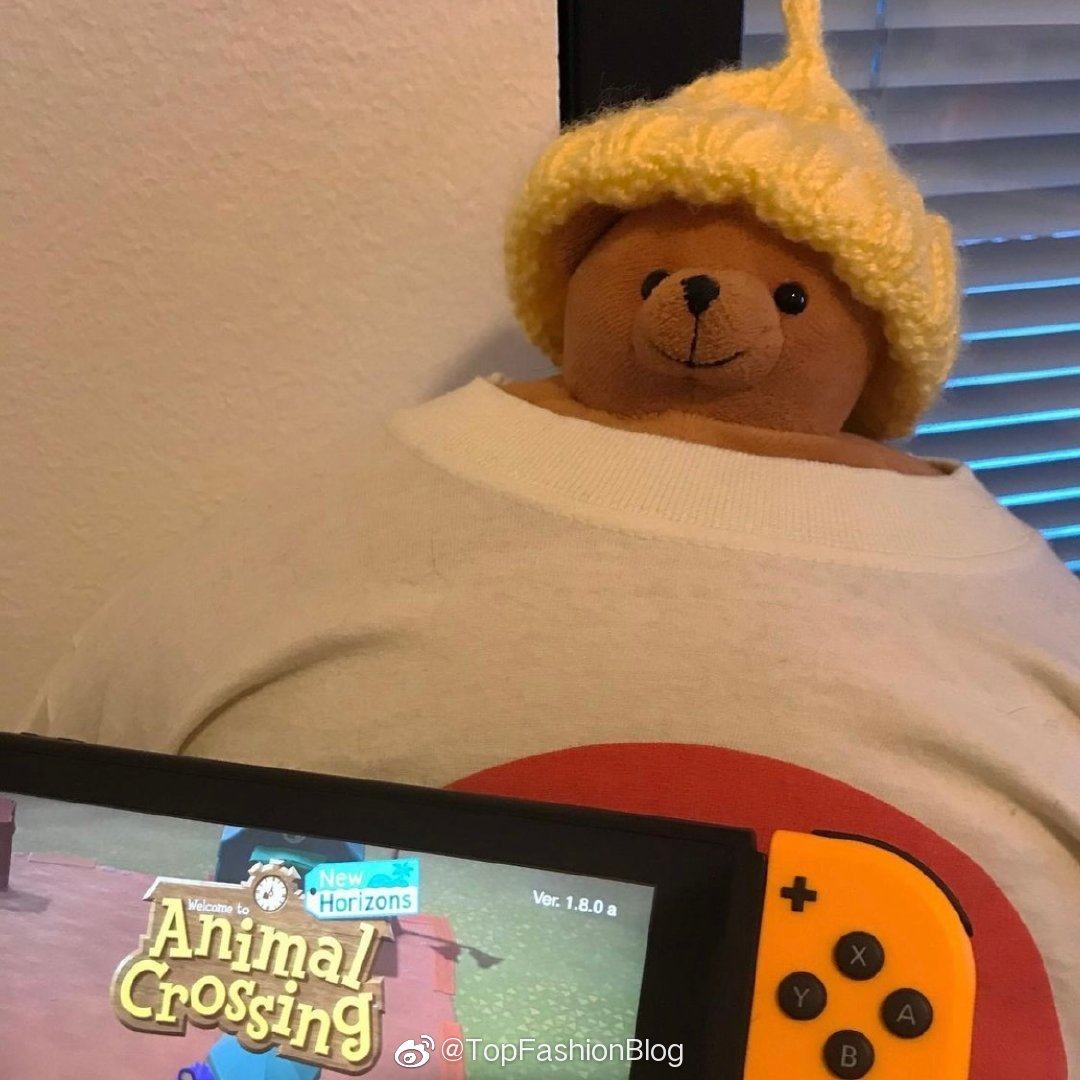 【超大一只阿强】tiny headed kingdom美国小头熊肌肉熊胖熊包邮