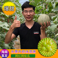 海南网纹瓜哈密瓜日本静冈蜜瓜热带新鲜一整箱水果包邮玲珑香甜瓜