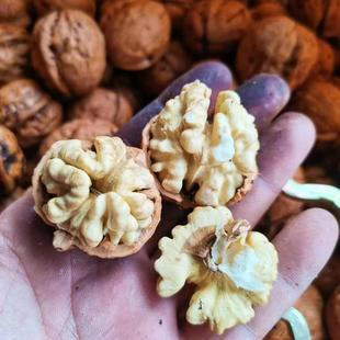 甘肃陇南成县核桃2025年徽县南秦岭蜕皮新品干核桃5斤送夹子