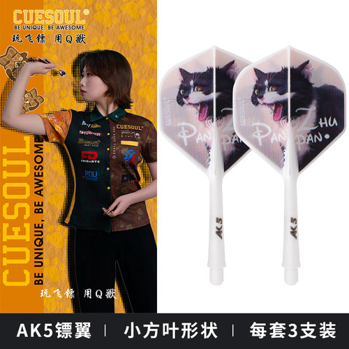 CUESOUL/Q獸朱艳(框框)镖手定制款AK5一体小方叶镖翼赛级飞镖尾翼
