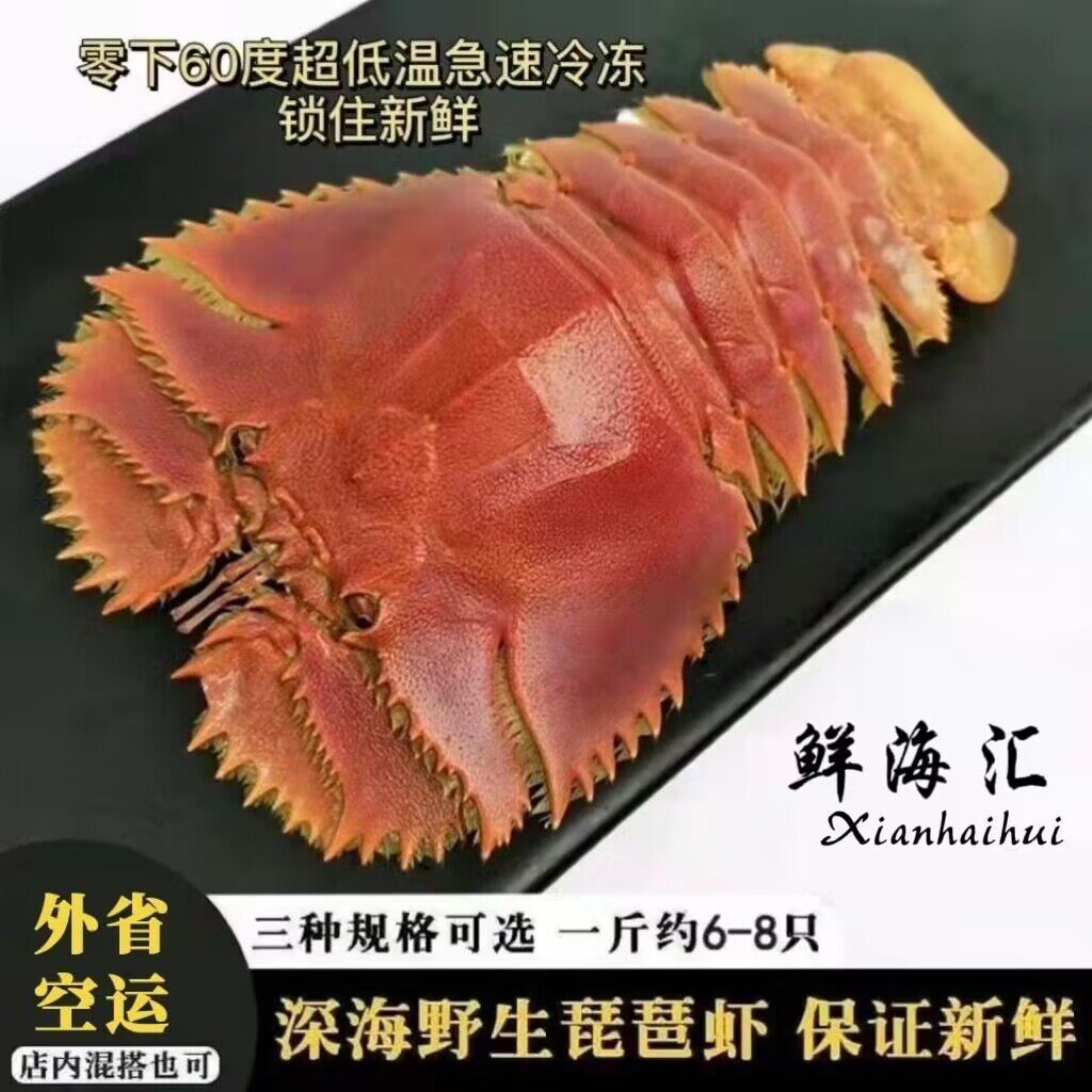 【鲜噜噜】东海琵琶虾鲜活冷冻九齿扇虾弹弹虾海虾犀牛虾3斤装