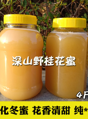 野桂花土蜂蜜原蜜大人小孩都能喝