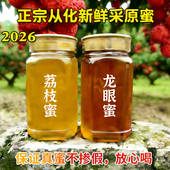 2026年从化龙眼蜜荔枝蜜土蜂蜜峰纯正天然农家自产无添加桂圆蜜糖