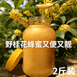 【2斤1斤桂花蜜】土蜂蜜纯正天然农家自产从化冬蜜野生原蜜0添加