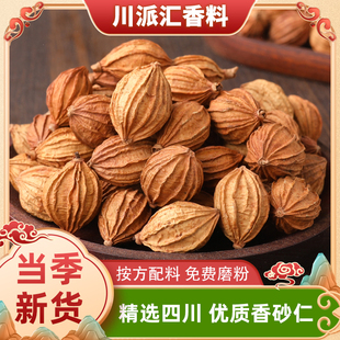 正宗四川香砂仁香沙仁金砂仁川砂仁炖菜调料大料商用卤肉香料大全
