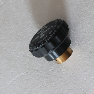 电加热蒸汽锅炉熨斗专用配件 蒸汽安全阀 蒸汽安全阀