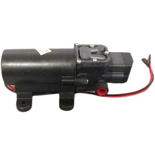 永达牌3000/3500W自动加水蒸汽锅炉专用抽水泵原装配件