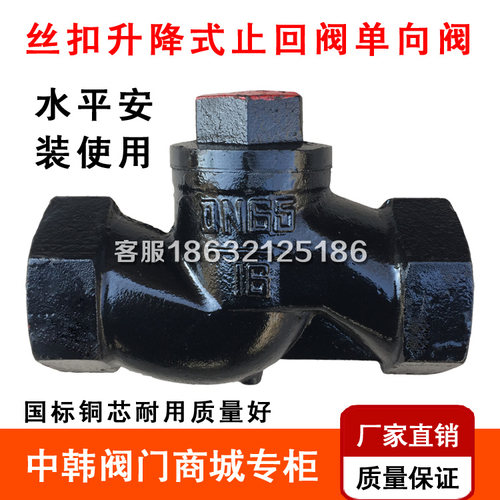 止回阀单向阀升降式铸铁铜芯