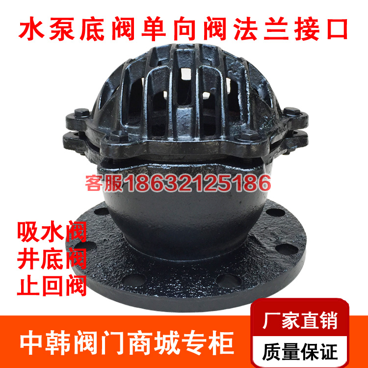 H42X-10法兰底阀 水泵底阀止回阀单向阀 阀门DN50 80 100 150 200
