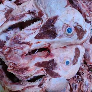 生鲜冷冻猪头排带肉猪头排鲜冷冻猪头骨带肉温州美食特色