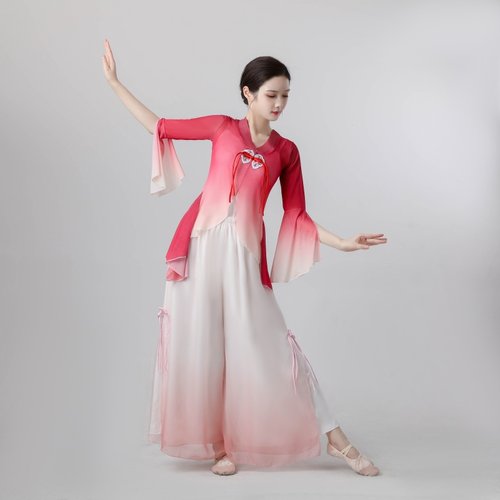 古典舞舞蹈服新款弹力网纱演出服中国风民族练功服飘逸身韵表演服