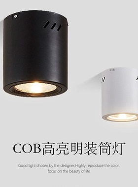 led明装筒灯4寸5寸6寸8寸cob射灯吸顶吊线圆形天花筒灯15W20W30W