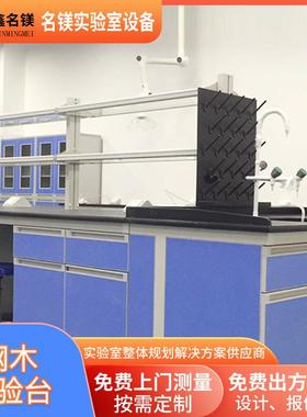 大学科研实验台实验室全钢中央台化学物理试验台理化板实验台供应