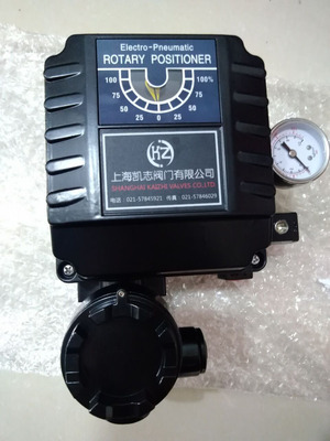 YT-1000RSm531  4-20mADC阀门定位器YT-1000RDI132   YT-1000RSN1