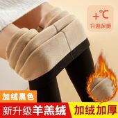 冬季 羊羔绒保暖裤 保暖裤 加大码 女一体绒德加厚加绒中高腰打底毛裤