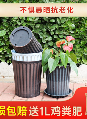 生长魔励塑料花盆树脂仿古铜阳台种菜种花盆多肉绿萝园艺月季花盆