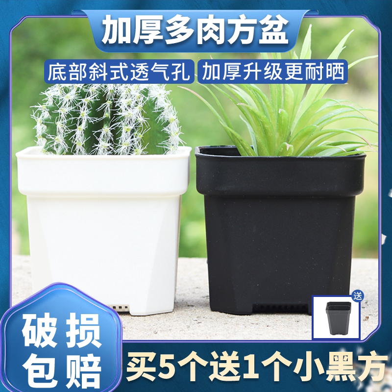 加厚方形树脂花盆家庭盆栽多肉植物组合养花种花育苗塑料园艺花盆