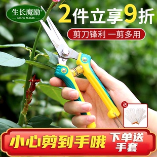 园艺修枝剪家用果树剪修花修枝花艺剪刀细枝剪盆景造型花剪子工具