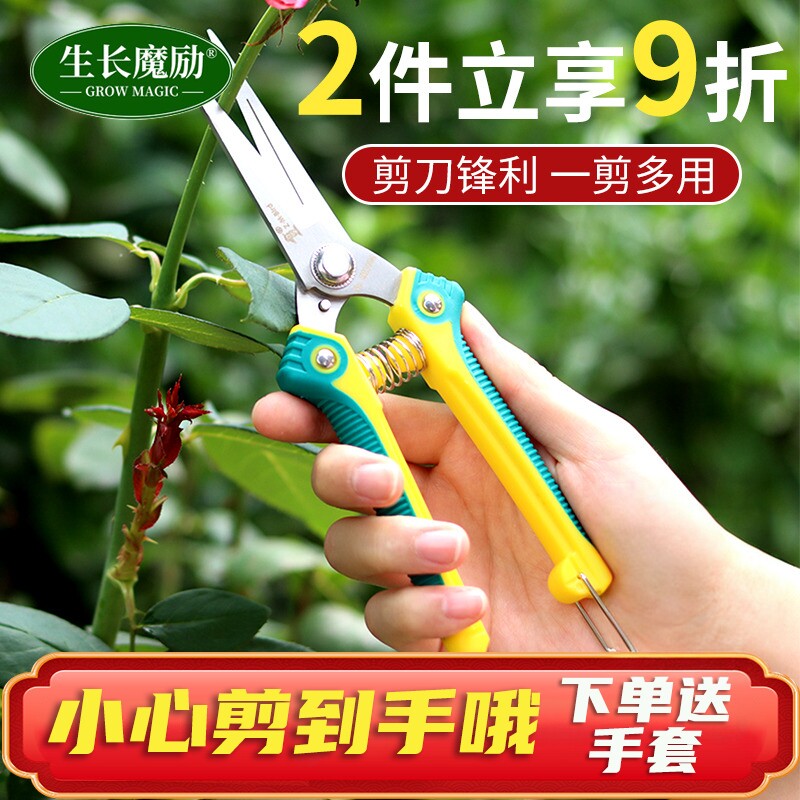 家用花艺造型工具修枝剪图片