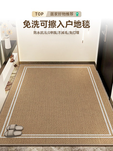 入户门地垫可裁剪高端耐脏玄关脚垫简约防滑地毯门垫进门门口家用
