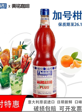 法布芮加号柑橘糖浆意大利进口橘子果味FABBRI桔子浓缩调味饮品1L