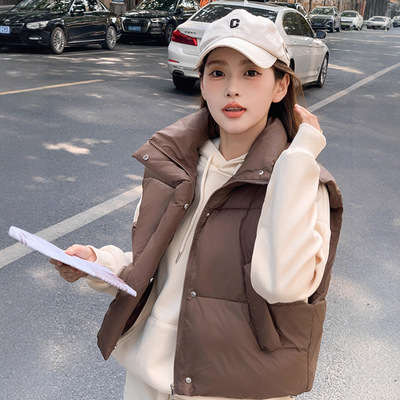 韩系宽松洋气女阔形棉马甲立领色百搭上衣2025冬季加厚坎肩马甲