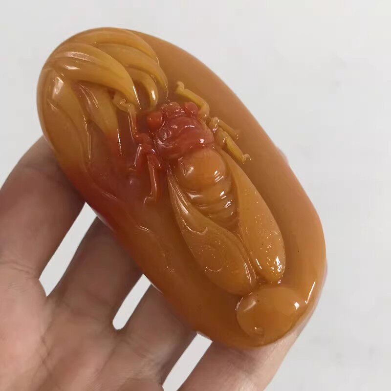 黄龙玉知了把件男女金蝉手玩件玉器一鸣惊人助升迁仿田黄玉手把件