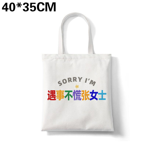 多巴胺sorry遇事不慌张女士钞票很多张帆布包姓氏谐音通勤大容量