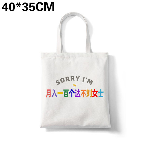 多巴胺sorry月入一百个达不刘女士帆布包姓氏谐音通勤大容量定制