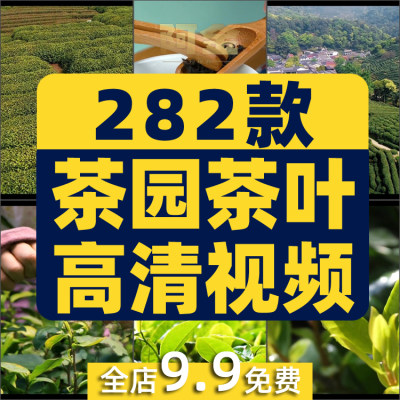 茶园采茶倒茶喝茶艺文化茶农茶叶泡茶实拍航拍风景宣传短视频素材