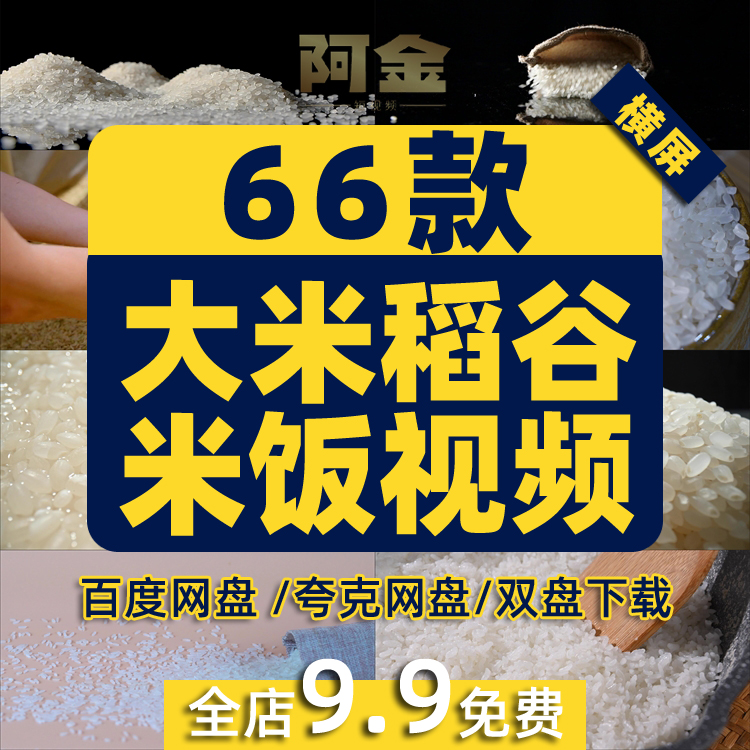 大米稻谷米饭粮食谷物特写新米香甜主食抖音短视频高清实拍素材