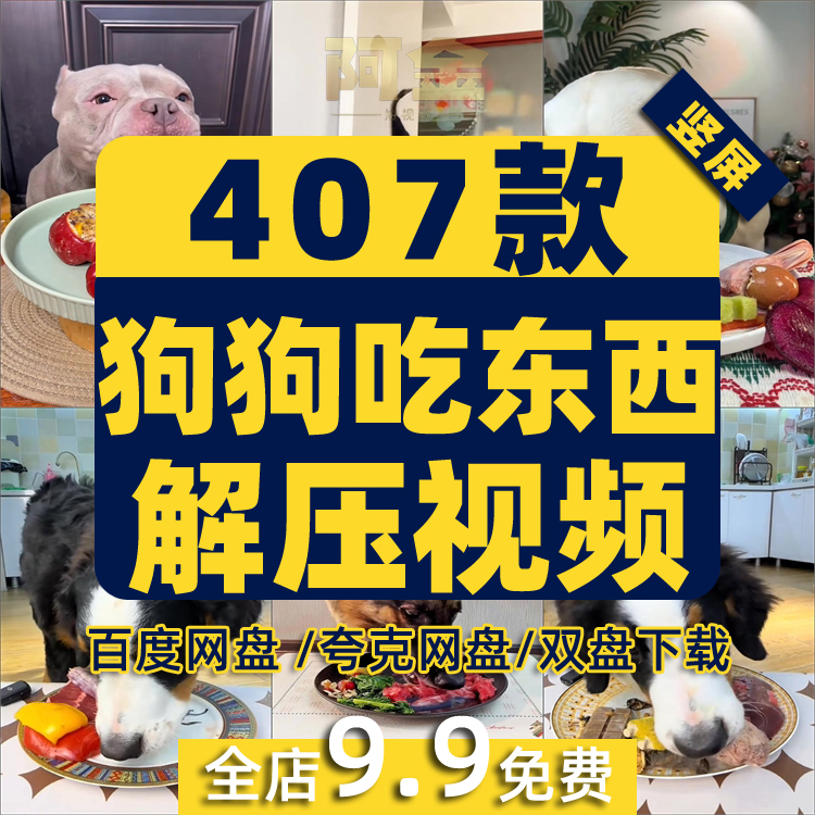 狗狗小狗吃东西食物美食宠物萌宠国外高清解压短视频小说推文素材