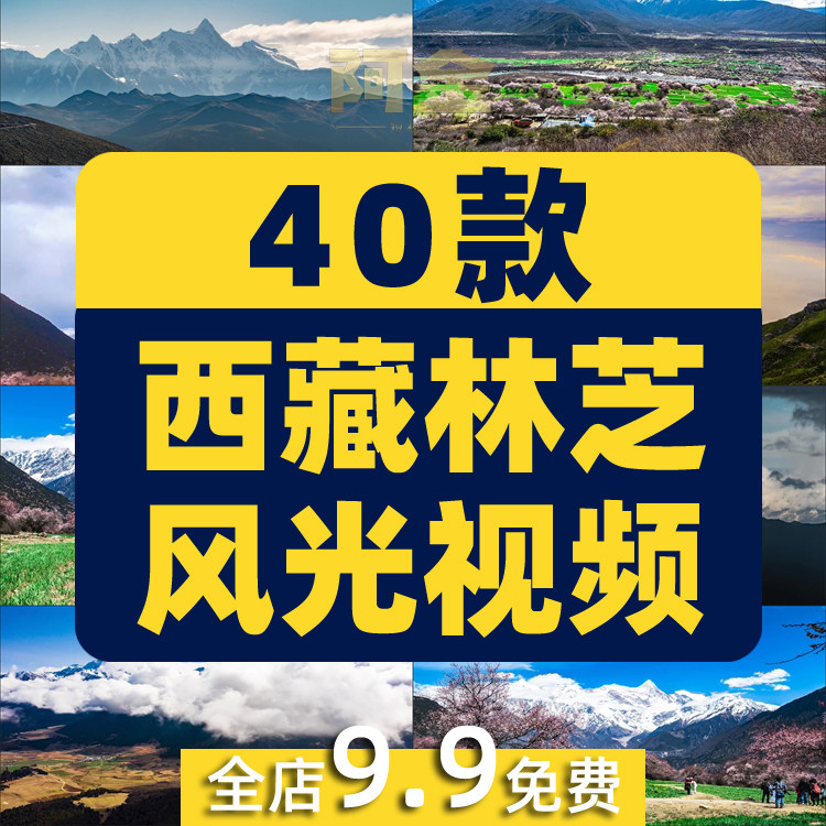 西藏林芝桃花节村落南迦巴瓦峰风光风景素材高清旅游景点短视频