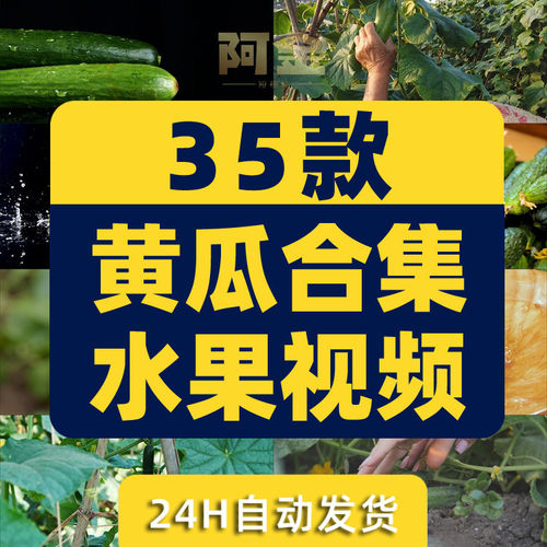 黄瓜合集有机水果大棚种植采摘农业绿色蔬菜视频高清实拍素材剪辑