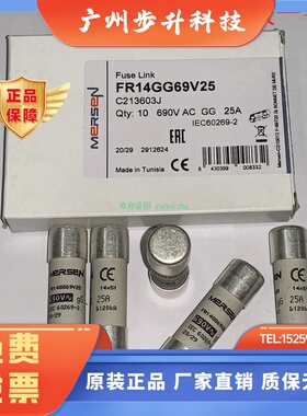 FR14GG69V8 FR14GG69V10 FR14GG69V12 FR14GG69V16 MERSEN保险丝