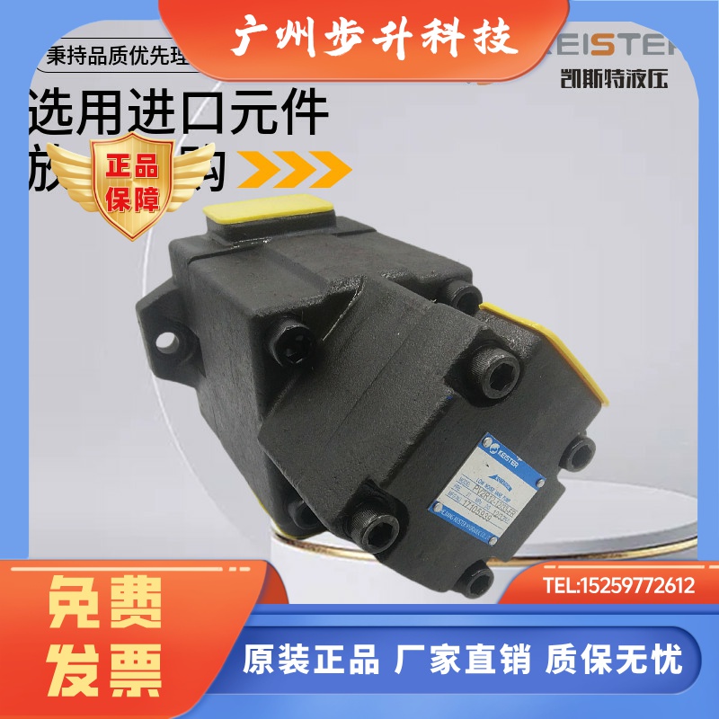 凯斯特PV2R12油研款PV2R13双联叶片油泵PV2R2 PV2R1 PV2R3 PV2R23