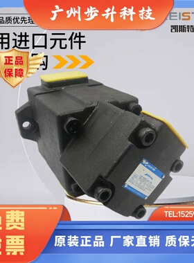 凯斯特PV2R12油研款PV2R13双联叶片油泵PV2R2 PV2R1 PV2R3 PV2R23