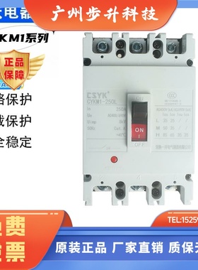 常熟一开塑壳断路器CYKM1-100C/L/M/H/63A250A400A630A800A1250A