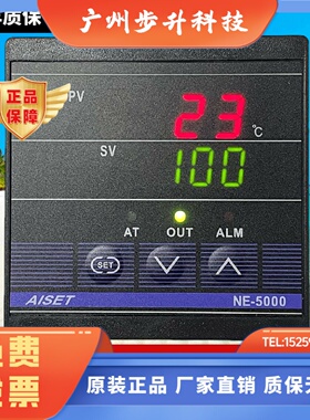 AISET上海亚泰仪表温控器NE-5000 5011 5012 5022 5401 5402包邮