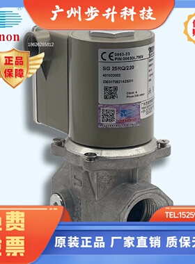 燃气电磁阀 SG15RQ/220  SG20RQ SG25RQ/220 SG40RQ SG50RQ/220