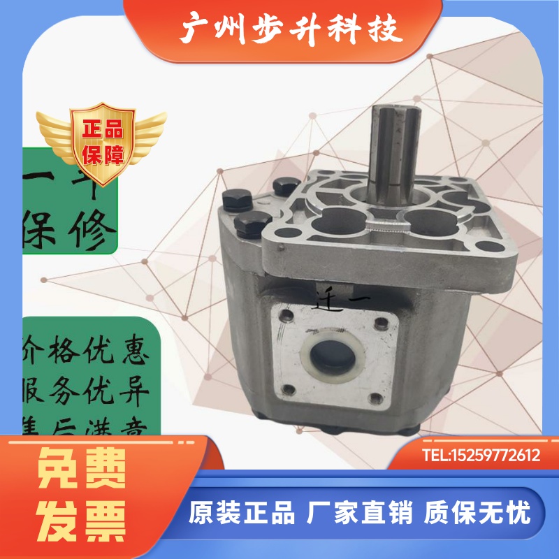 齿轮油泵CBT-E520 E525 E532 E540 E550 E563 E580-BFHL BFPR CBN