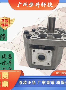 齿轮油泵CBT-E520 E525 E532 E540 E550 E563 E580-BFHL BFPR CBN