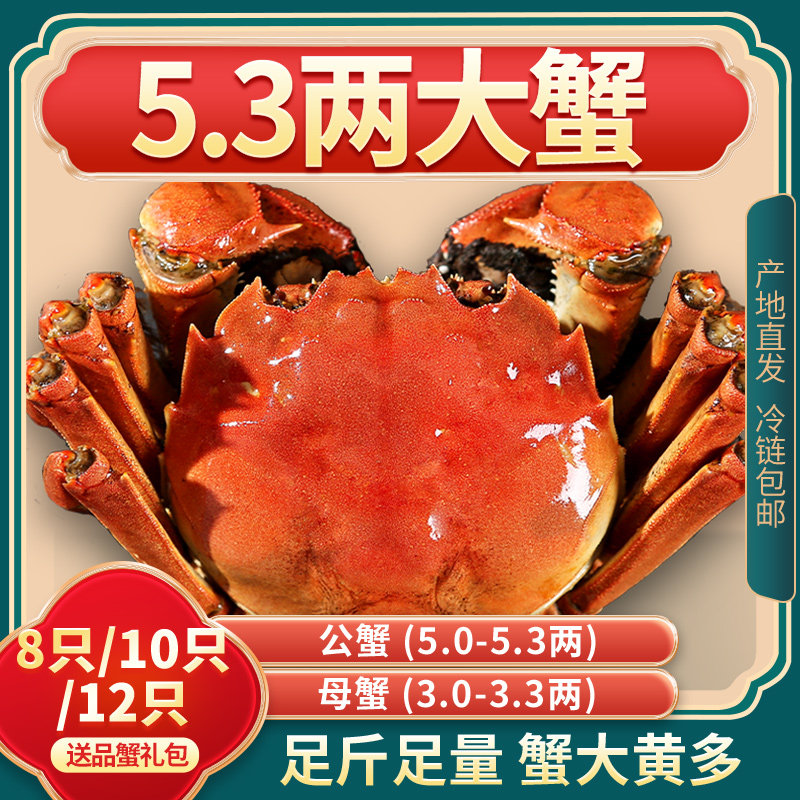 活蟹8/10/12只【公母特大蟹】现货螃蟹鲜活大闸蟹全母公蟹礼盒装,水产肉类/新鲜蔬果/熟食,大闸蟹,淘宝优惠券,粉丝福利购,淘宝优惠卷